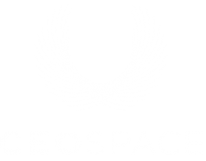 ceospace logo white